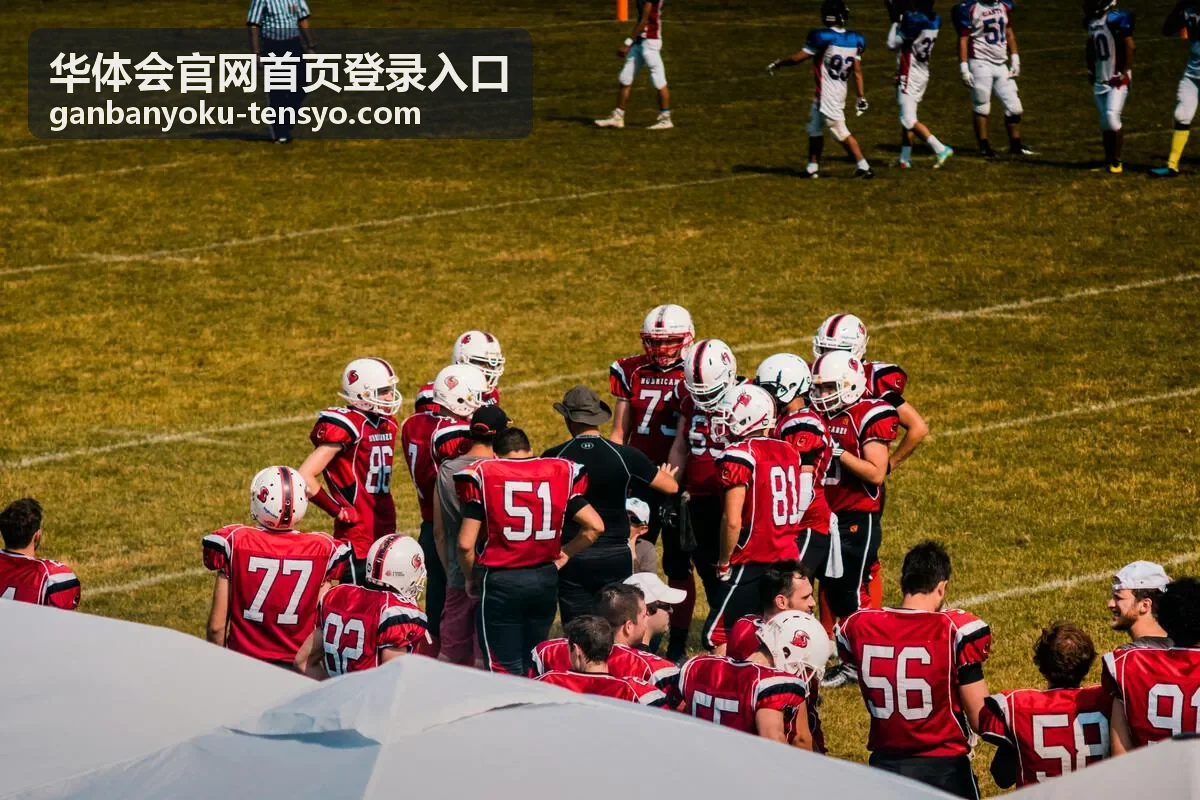 华体会官网首页登录入口步骤二账号信息填写示意图